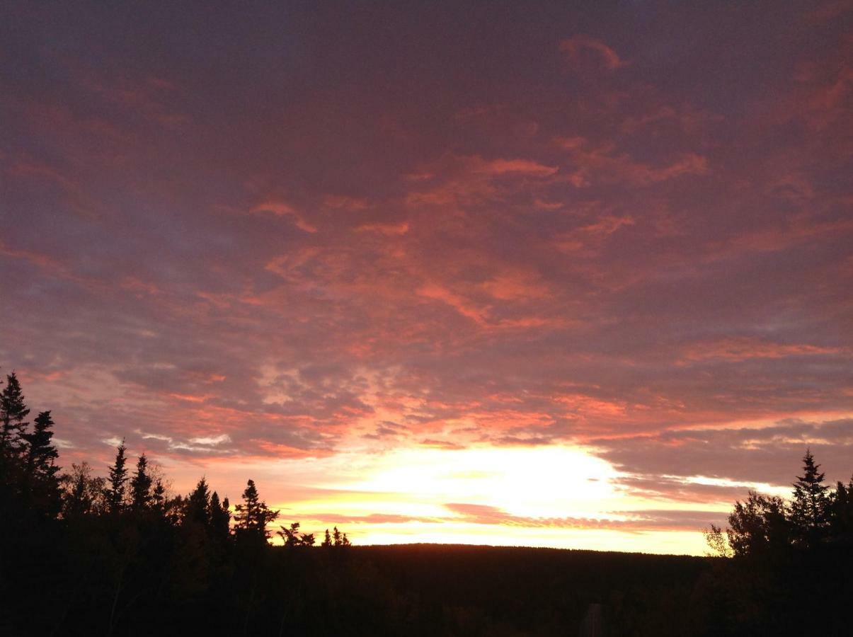 Burton'S Sunset Oasis Motel Bay Saint Lawrence Экстерьер фото